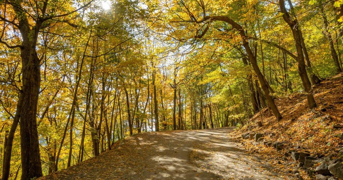 Chemin de la Rivière-des-Prairies
