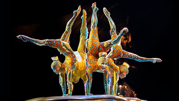 Spinal Contortion Contortionists Spine What Is A Contortionist? | Blog Cirque Du